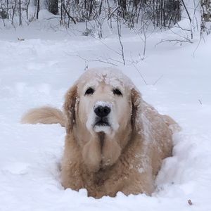 Meet your Posher, Jack